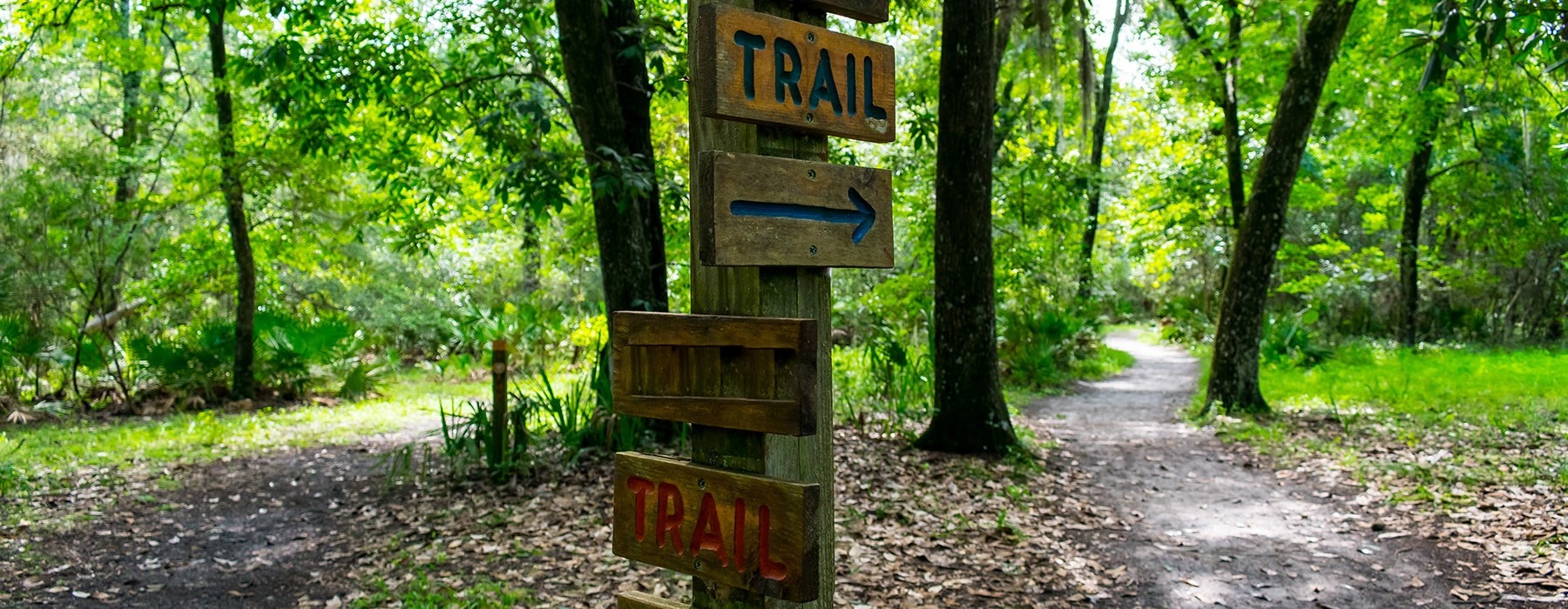 image of trail signs in a bright woods area